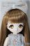 画像1: ミニスウィーツドール/ローズマリー/ A-25-06-11-110-NY-ZA (1)