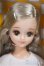 画像1: リカちゃんキャッスル/旧エリー　2023年10月彩色ツアーモデル/BJD　球体関節人形 A-25-06-18-161-NY-ZA (1)