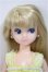 画像1: リカちゃん/ひなちゃん/BJD　球体関節人形 A-25-06-18-168-NY-ZA (1)