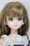 画像1: リカちゃん/マリアちゃん/BJD　球体関節人形 A-25-06-18-169-NY-ZA (1)