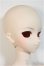 画像3: DD/遠坂凜/BJD　球体関節人形 A-25-06-18-201-NY-ZA