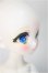 画像3: TinyFox/Lunar Fox/ A-25-06-18-108-NY-ZA