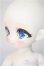 画像4: TinyFox/Lunar Fox/ A-25-06-18-108-NY-ZA