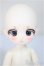 画像2: TinyFox/デビー/ A-25-06-18-107-NY-ZA (2)