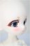 画像3: TinyFox/デビー/ A-25-06-18-107-NY-ZA
