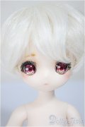 puyoodoll/Baby　KUMAKO RURU / A-25-06-18-106-NY-ZA