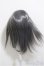 画像2: 8-9inch/ウィッグ/インチ　BJD　MJD　ドール用 A-25-06-18-226-NY-ZA (2)