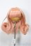 画像1: 6inch/ウィッグ/インチ　BJD　MJD　ドール用 A-25-06-18-224-NY-ZA (1)