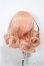 画像2: 6inch/ウィッグ/インチ　BJD　MJD　ドール用 A-25-06-18-224-NY-ZA (2)
