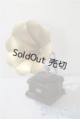 SD/蓄音機セット U-25-06-24-207-NY-ZU