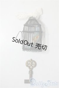 SDM＆MSD/OF:小物 U-25-06-24-194-NY-ZU