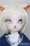 画像1: AIMERAI/1/4/Don/ A-25-06-18-151-KD-ZA (1)