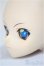 画像3: DD/アオイヘッド/BJD　球体関節人形 A-25-06-18-265-NY-ZA (3)
