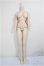 画像1: DD/ベースボディII/BJD　球体関節人形 A-25-06-18-373-NY-ZA (1)