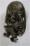 画像2: 8-9inch/ウィッグ/インチ　BJD　MJD　ドール用 A-25-07-02-135-NY-ZA (2)