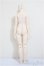 画像2: MDD/ベースボディ2.0/BJD　球体関節人形 A-25-06-18-297-NY-ZA (2)