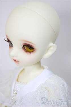 画像4: BJD CROBI/E-Line Tori-MONSHIRO/ A-25-06-18-302-KD-ZA