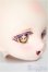 画像2: DDH-12/カスタムヘッド　いぬねこ様カスタム/BJD　球体関節人形 A-25-06-25-102-NY-ZA (2)
