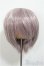 画像1: 8-9inch/ウィッグ/インチ　BJD　MJD　ドール用 A-25-06-25-200-NY-ZA (1)