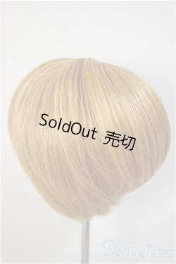 画像2: 7-8inch/ウィッグ/インチ　BJD　MJD　ドール用 A-25-10-22-358-NY-ZA