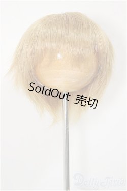 画像1: 7-8inch/ウィッグ/インチ　BJD　MJD　ドール用 A-25-07-02-152-NY-ZA