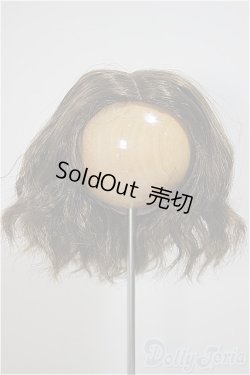 画像1: 8-9inch/ウィッグ/インチ　BJD　MJD　ドール用 A-25-10-22-362-NY-ZA