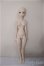 画像2: DDS/アナスタシア/BJD　球体関節人形 A-25-07-02-397-NY-ZA (2)