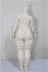 画像2: TinyFox/1/6 Body/ A-25-07-09-149-NY-ZA (2)