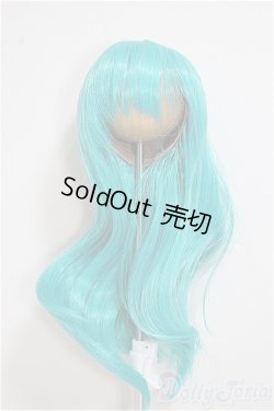 画像1: 8-9inch/ウィッグ/インチ　BJD　MJD　ドール用 A-25-07-02-385-NY-ZA