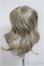 画像2: 6-7inch/ウィッグ/インチ　BJD　MJD　ドール用 A-25-07-09-307-NY-ZA (2)