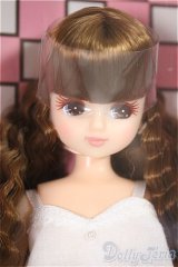 リカちゃん/リカちゃんキャッスルのちいさなおみせ　2014年アイコンリカちゃん/BJD　球体関節人形 A-25-07-09-154-NY-ZA