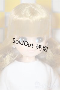 リカちゃん/2013年赤いカメラモデルリカちゃん/BJD　球体関節人形 A-25-07-09-155-NY-ZA