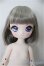 画像1: PUYOO DOLL/Kumako - Chat a la mode ver. Limited/ A-25-07-09-193-NY-ZA (1)