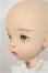 画像4: LANDAZZ DOLL/ヘッド＋オビツ22ボディ/ A-25-07-09-351-NY-ZA
