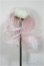 画像1: 4inch/ウィッグ/インチ　BJD　MJD　ドール用 A-25-07-16-174-NY-ZA (1)