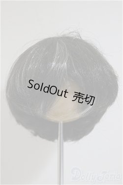 画像1: 8.5-9inch/ウィッグ/インチ　BJD　MJD　ドール用 A-25-07-16-236-TO-ZA