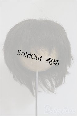 画像1: 8-9inch/ウィッグ/インチ　BJD　MJD　ドール用 A-25-08-06-391-TO-ZA