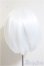 画像2: 9-10inch/ウィッグ/0 A-25-07-16-253-NY-ZA (2)