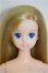 画像1: ジェニー/ティモテ/BJD　球体関節人形 A-25-07-16-285-NY-ZA (1)