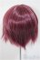 画像2: 9inch/ウィッグ　インソムニア様製/インチ　BJD　MJD　ドール用 A-25-07-16-309-NY-ZA (2)
