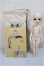 画像8: MYOUDOLL/Lorina/ A-25-07-16-302-NY-ZA