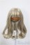 画像1: 6-7inch/ウィッグ/インチ　BJD　MJD　ドール用 A-25-07-16-356-TO-ZA (1)