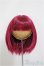 画像1: 8-9inch/ウィッグ/インチ　BJD　MJD　ドール用 A-25-07-23-108-NY-ZA (1)