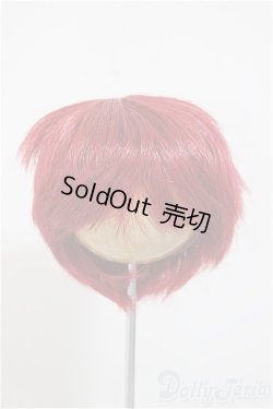 画像1: 8-9inch/ウィッグ/インチ　BJD　MJD　ドール用 A-25-07-23-106-NY-ZA