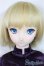 画像1: DD/ルーラー/ジャンヌ・ダルク/BJD　球体関節人形 A-25-07-30-150-NY-ZA (1)