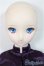 画像2: DD/ルーラー/ジャンヌ・ダルク/BJD　球体関節人形 A-25-07-30-150-NY-ZA (2)