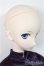 画像3: DD/ルーラー/ジャンヌ・ダルク/BJD　球体関節人形 A-25-07-30-150-NY-ZA