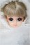 画像1: ジェニー/アニバーサリージェニー2002(ホワイトエンジェル)/BJD　球体関節人形 A-25-07-23-157-NY-ZA (1)