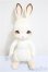 画像1: cocoriang/tobi/BJD　球体関節人形 A-25-07-23-288-NY-ZA (1)