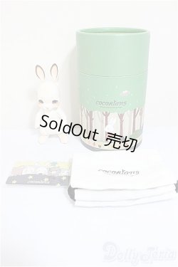 画像3: cocoriang/tobi/BJD　球体関節人形 A-25-07-23-288-NY-ZA